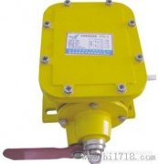THZL-B-II縱向撕裂開(kāi)關(guān)，撕裂檢測(cè)裝置，批發(fā)工程案例